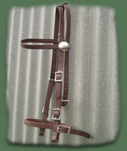 Bridle